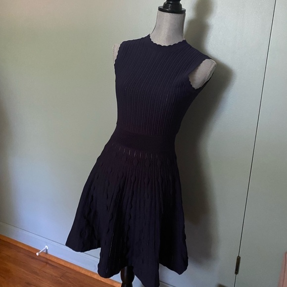 Ted Baker navy dress size small / extra small - Picture 6 of 8